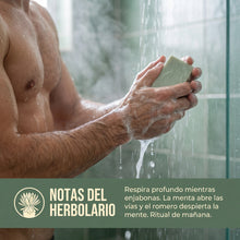 Páramo